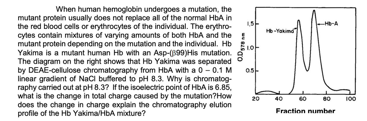 When human hemoglobin undergoes a mutation, the
mutant protein usually does not replace all of the normal HbA in
the red blood cells or erythrocytes of the individual. The erythro-
cytes contain mixtures of varying amounts of both HbA and the
mutant protein depending on the mutation and the individual. Hb
Yakima is a mutant human Hb with an Asp-(B99)His mutation.
The diagram on the right shows that Hb Yakima was separated
by DEAE-cellulose chromatography from HbA with a 0 – 0.1 M
linear gradient of NaCl buffered to pH 8.3. Why is chromatog-
raphy carried out at pH 8.3? If the isoelectric point of HbA is 6.85,
what is the change in total charge caused by the mutation?How
does the change in charge explain the chromatography elution
profile of the Hb Yakima/HbA mixture?
1,5
-Hb-A
Hb -Yakima
1.0
0.5-
20
40
60
80
00
Fraction number
O.D578 nm
