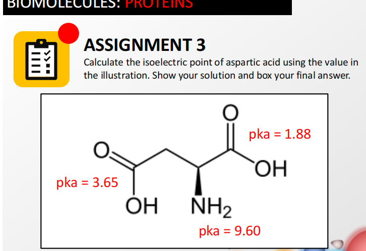 BIC
:S: PROTEINS
ASSIGNMENT 3
圍
Calculate the isoelectric point of aspartic acid using the value in
the illustration. Show your solution and box your final answer.
pka = 1.88
pka = 3.65
HO
ОН
NH2
pka = 9.60
