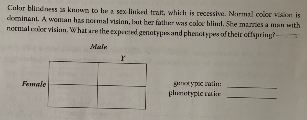 Color blindness is known to be a sex-linked trait, which is recessive. Normal color vision is
dominant. A woman has normal vision, but her father was color blind. She marries a man with
normal color vision. What are the expected genotypes and phenotypes of their offspring? -
Male
Y
Female
genotypic ratio:
phenotypic ratio:
