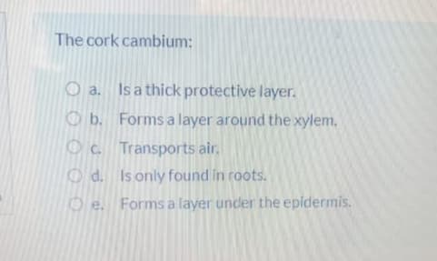 The cork cambium:
O a. Is a thick protective layer.
O b. Forms a layer around the xylem.
Oc Transports air.
O d. Is only found in roots.
O e.
Forms a layer under the epidermis.
