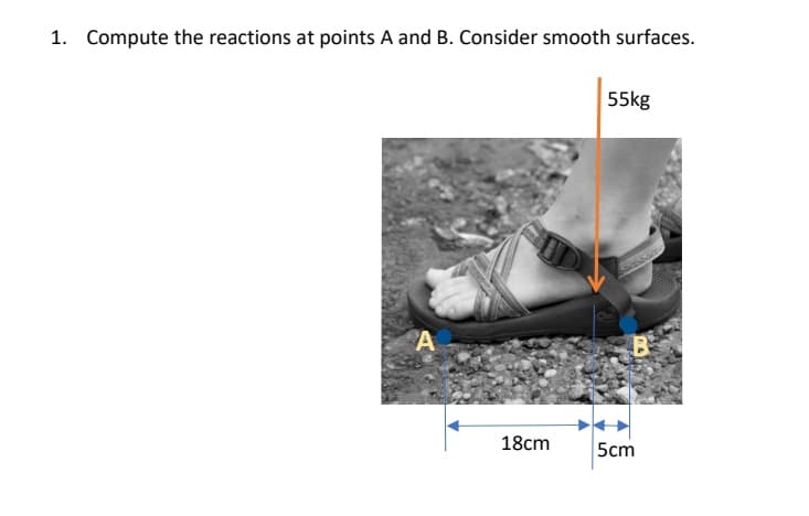 1. Compute the reactions at points A and B. Consider smooth surfaces.
A
18cm
55kg
5cm
