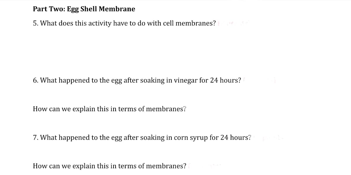 Part Two: Egg Shell Membrane
5. What does this activity have to do with cell membranes?
6. What happened to the egg after soaking in vinegar for 24 hours?
How can we explain this in terms of membranes?
7. What happened to the egg after soaking in corn syrup for 24 hours?
How can we explain this in terms of membranes?
