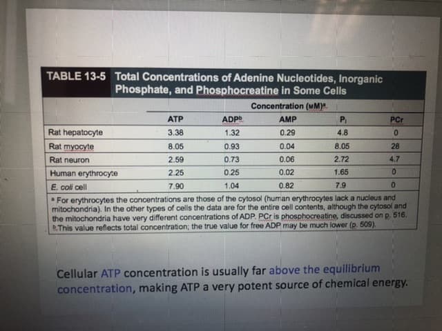 TABLE 13-5 Total Concentrations of Adenine Nucleotides, Inorganic
Phosphate, and Phosphocreatine in Some Cells
Concentration (MM)
ATP
ADP
AMP
PCr
Rat hepatocyte
3.38
1.32
0.29
4.8
0.
Rat myocyte
8.05
0.04
8.05
28
0.93
2.72
0.06
4.7
Rat neuron
2.59
0.7
0.25
0.
2.25
0.02
1.65
Human erythrocyte
E. coli cell
0.82
7.9
1.04
7.90
For erythrocytes the concentrations are those of the cytosol (human erythrocytes lack a nucleus and
mitochondria). In the other types of cells the data are for the entire cell contents, although the cytosol and
the mitochondria have very different concentrations of ADP. PCr is phosphocreatine, discussed on p. 516.
BThis value reflects total concentration; the true value for free ADP may be much lower (p. 509).
Cellular ATP concentration is usually far above the equilibrium
concentration, making ATPA very potent source of chemical energy.
