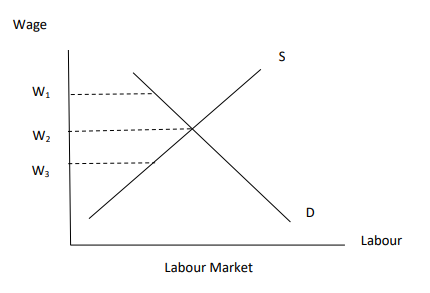 Wage
W1
W2
W3
D
Labour
Labour Market
