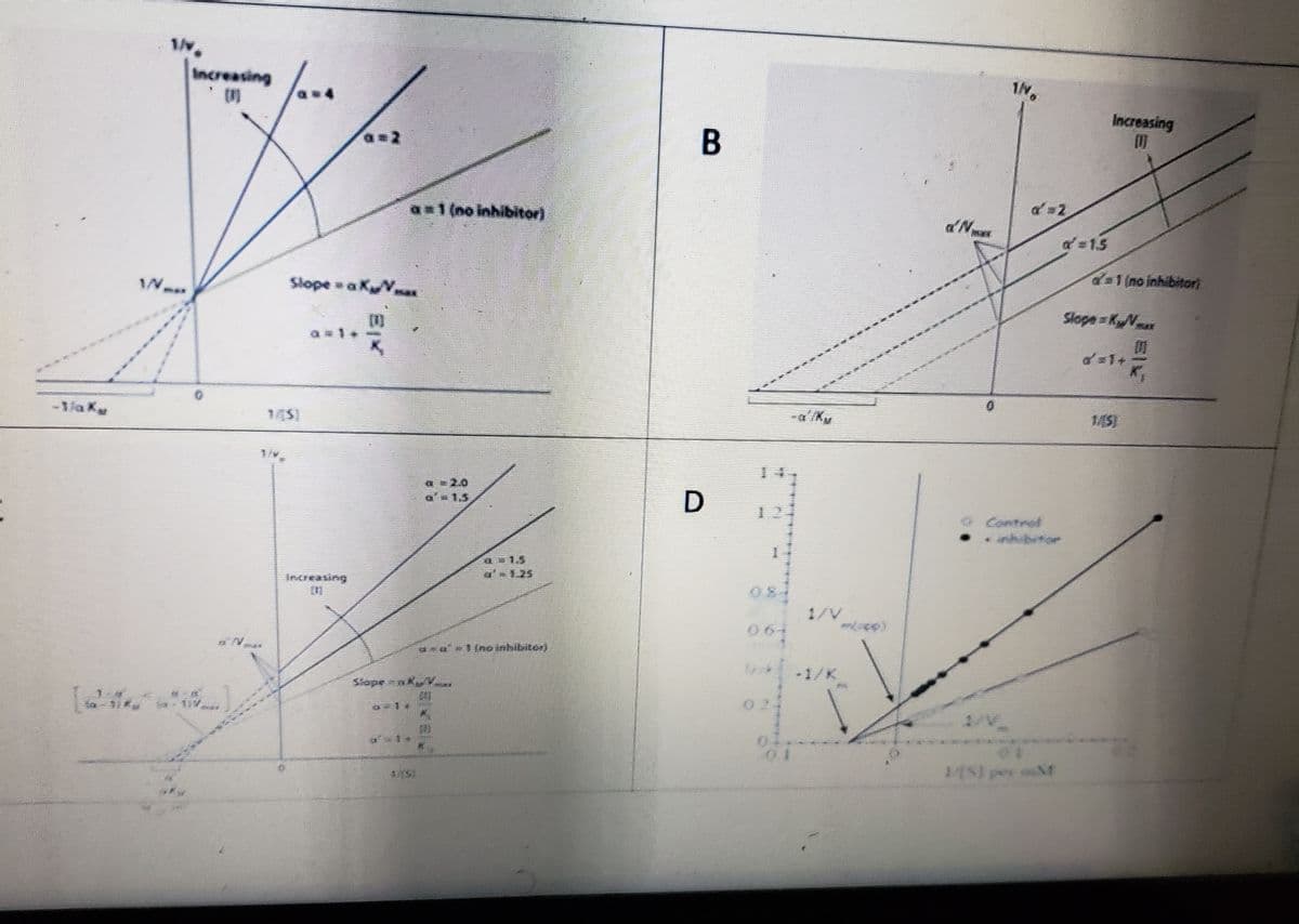 -1/aka
1/v.
Increasing
a=1 (no inhibitor)
Slope = a KµV…...
Slope ak
7-15
satino inhibitori
B
D
MELIN
H
W
MIN
061
d'Nat
1/V
a = 2
a=1.5
Increasing
(1)
o1 (no inhibitor)
Slope = KNALLE