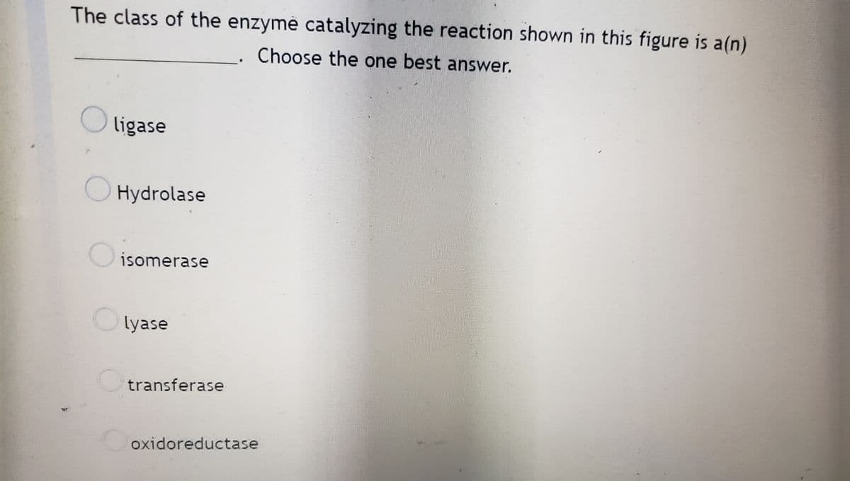 The class of the enzyme catalyzing the reaction shown in this figure is a(n)
Choose the one best answer.
ligase
Hydrolase
isomerase
lyase
transferase
oxidoreductase