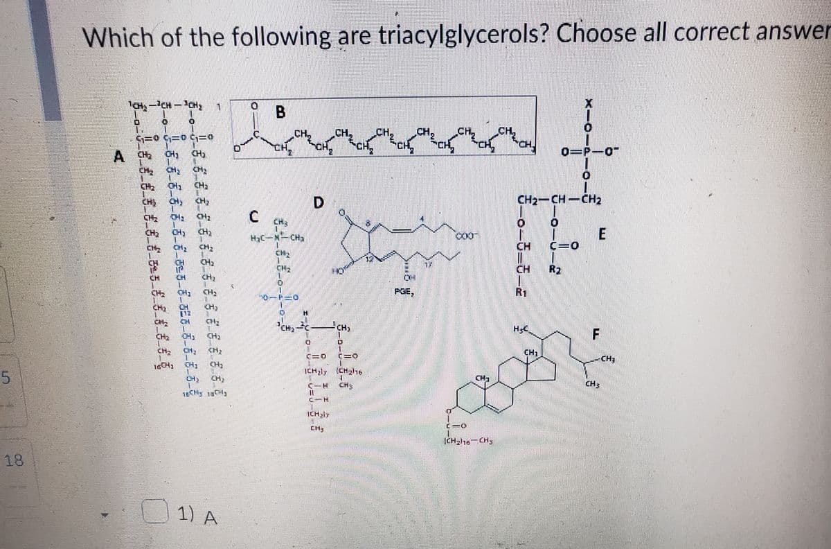 5
Which of the following are triacylglycerols? Choose all correct answer
¹CH₂ -³CH - ACH;
B
Ihanaan
CH.
CH,
G=0 GEO G=0
CH
CH₂ CH₂ CH₂
CHE
D
C CHR
HyC-N-CH₂
ON
$_o_G_6_€_6_3_6_8_6_13_€_6_6_6_6_Q
V_6–6–6–6–6–6–6–325–6–3²0-6-6-6-6-6
A CH₂
CH₂
CHA
1) A
K
5=0
H=
CIR
ICH,IT
FEE
CMQ/16
W
PGE,
-0
||CH₂/18=CH₂
CHACH
3-6-6-5-2
ܗܘ
CH₂-CH-CH₂
E
(=0
R₂
CH₁
0-P-0
F
CH3
CH₁