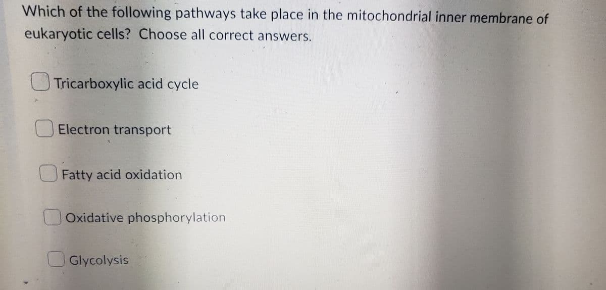 Which of the following pathways take place in the mitochondrial inner membrane of
eukaryotic cells? Choose all correct answers.
Tricarboxylic acid cycle
Electron transport
Fatty acid oxidation
Oxidative phosphorylation
Glycolysis