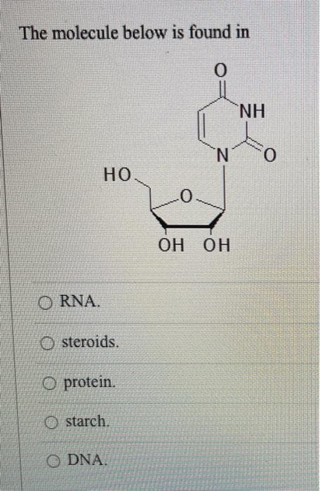The molecule below is found in
0
ORNA.
HO
Osteroids.
Oprotein.
starch.
ODNA.
0.
N
OH OH
NH
0