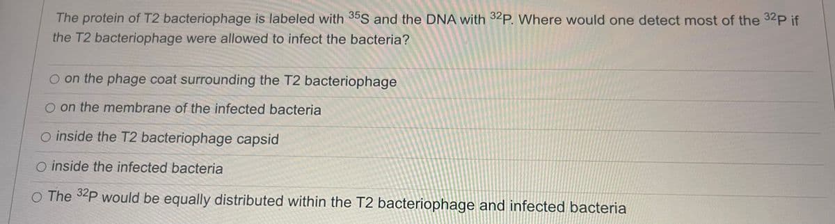 The protein of T2 bacteriophage is labeled with 35S and the DNA with 32p. Where would one detect most of the 32p if
the T2 bacteriophage were allowed to infect the bacteria?
O on the phage coat surrounding the T2 bacteriophage
on the membrane of the infected bacteria
O inside the T2 bacteriophage capsid
O inside the infected bacteria
O The 32P would be equally distributed within the T2 bacteriophage and infected bacteria