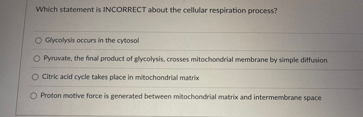 Which statement is INCORRECT about the cellular respiration process?
Glycolysis occurs in the cytosol
O Pyruvate, the final product of glycolysis, crosses mitochondrial membrane by simple diffusion
O Citric acid cycle takes place in mitochondrial matrix
O Proton motive force is generated between mitochondrial matrix and intermembrane space