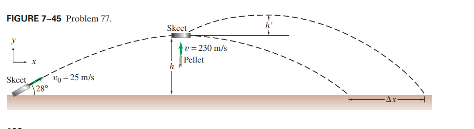 FIGURE 7-45 Problem 77.
Skeet
h'
y
v = 230 m/s
|Pellet
h
vo = 25 m/s
28°
Skeet
