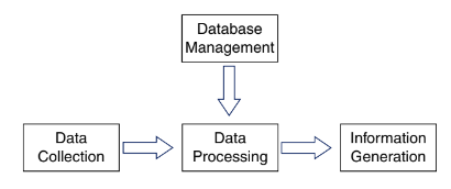 Database
Management
Data
Data
Information
Collection
Processing
Generation
