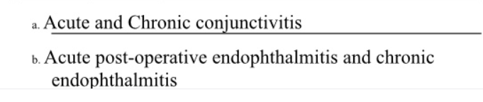 Acute and Chronic conjunctivitis
b. Acute post-operative endophthalmitis and chronic
endophthalmitis
