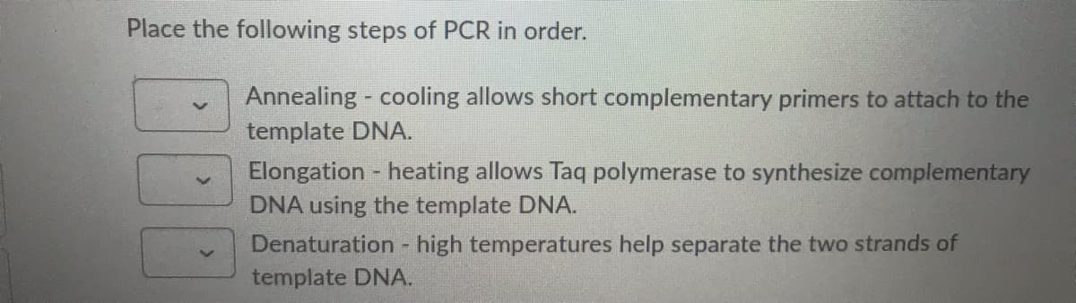 Place the following steps of PCR in order.
Annealing - cooling allows short complementary primers to attach to the
template DNA.
Elongation - heating allows Taq polymerase to synthesize complementary
DNA using the template DNA.
Denaturation - high temperatures help separate the two strands of
1.
template DNA.
