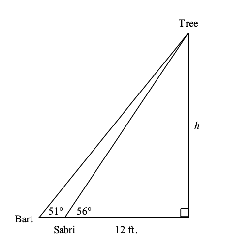 Bart
51° / 56°
Sabri
12 ft.
Tree
h