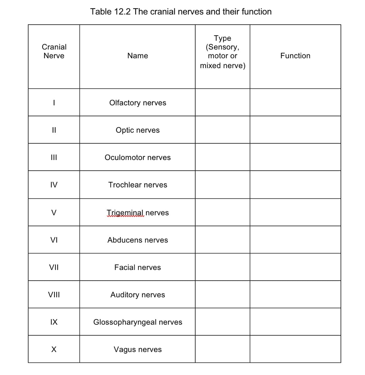 Table 12.2 The cranial nerves and their function
Туре
(Sensory,
motor or
Cranial
Nerve
Name
Function
mixed nerve)
Olfactory nerves
II
Optic nerves
II
Oculomotor nerves
IV
Trochlear nerves
V
Trigeminal nerves
VI
Abducens nerves
VII
Facial nerves
VII
Auditory nerves
IX
Glossopharyngeal nerves
Vagus nerves
