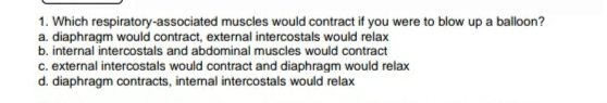1. Which respiratory-associated muscles would contract if you were to blow up a balloon?
a. diaphragm would contract, external intercostals would relax
b. internal intercostals and abdominal muscles would contract
c. external intercostals would contract and diaphragm would relax
d. diaphragm contracts, intemal intercostals would relax
