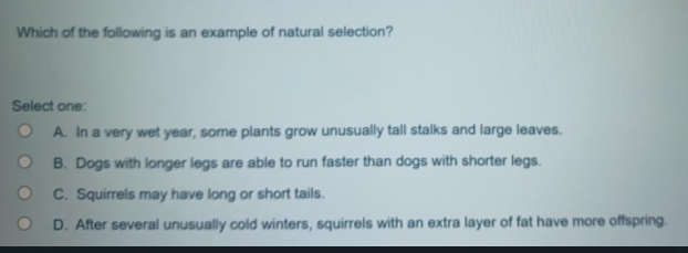 Which of the following is an example of natural selection?
Select one:
O A. In a very wet year, some plants grow unusually tall stalks and large leaves.
B. Dogs with longer legs are able to run faster than dogs with shorter legs.
C. Squirrels may have long or short tails.
D. After several unusually cold winters, squirrels with an extra layer of fat have more offspring.
