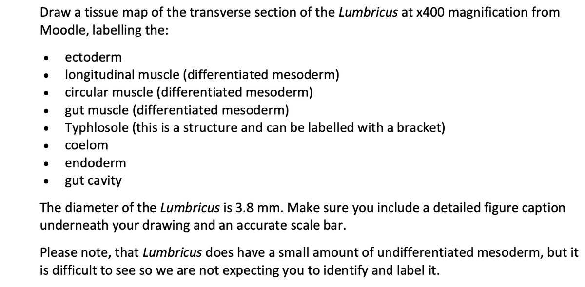 Draw a tissue map of the transverse section of the Lumbricus at x400 magnification from
Moodle, labelling the:
ectoderm
longitudinal muscle (differentiated mesoderm)
circular muscle (differentiated mesoderm)
gut muscle (differentiated mesoderm)
Typhlosole (this is a structure and can be labelled with a bracket)
coelom
endoderm
gut cavity
The diameter of the Lumbricus is 3.8 mm. Make sure you include a detailed figure caption
underneath your drawing and an accurate scale bar.
Please note, that Lumbricus does have a small amount of undifferentiated mesoderm, but it
is difficult to see so we are not expecting you to identify and label it.
