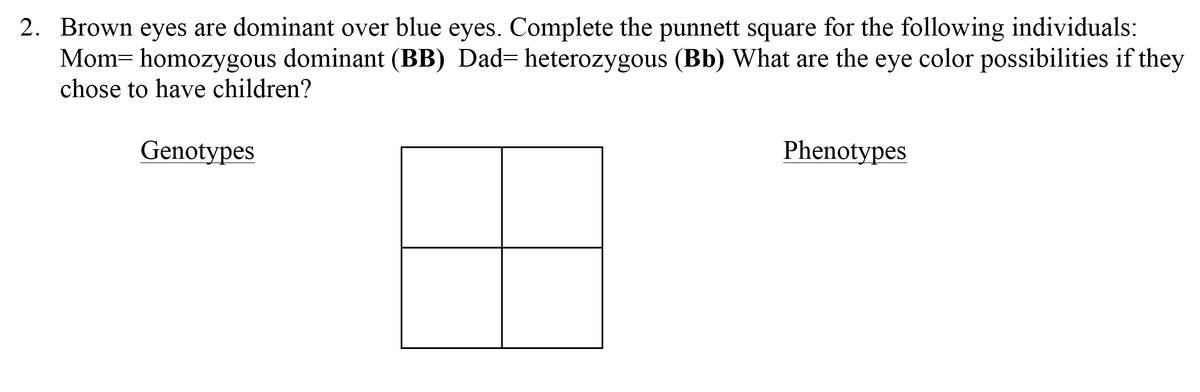 2. Brown eyes are dominant over blue eyes. Complete the punnett square for the following individuals:
Mom= homozygous dominant (BB) Dad= heterozygous (Bb) What are the eye color possibilities if they
chose to have children?
Genotypes
Phenotypes

