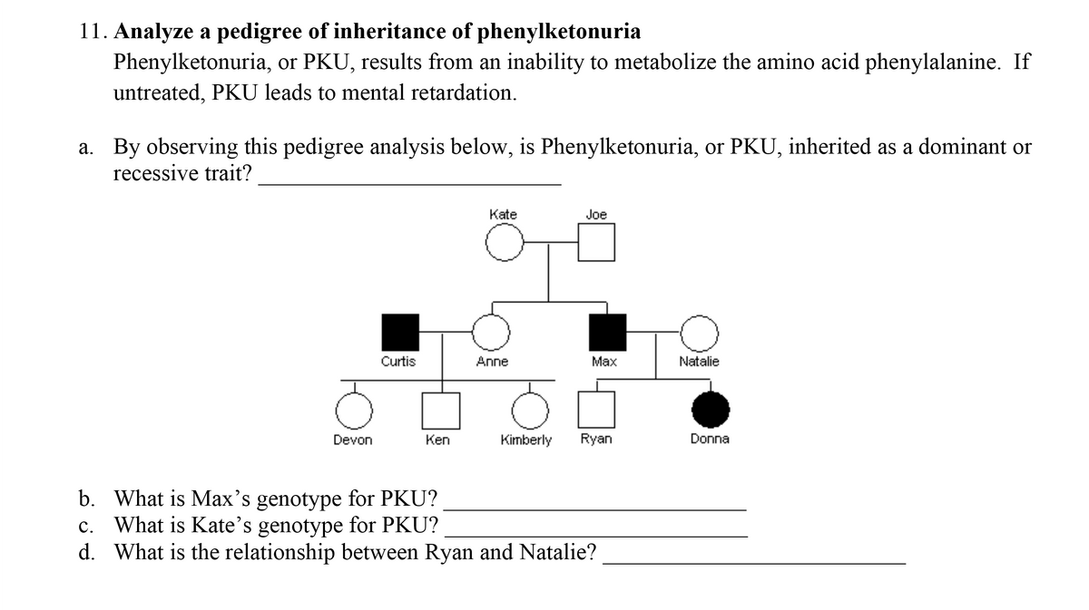 11. Analyze a pedigree of inheritance of phenylketonuria
Phenylketonuria, or PKU, results from an inability to metabolize the amino acid phenylalanine. If
untreated, PKU leads to mental retardation.
a. By observing this pedigree analysis below, is Phenylketonuria, or PKU, inherited as a dominant or
recessive trait?
а.
Kate
Joe
Curtis
Anne
Max
Natalie
Devon
Кen
Kimberly
Ryan
Donna
b. What is Max's genotype for PKU?
c. What is Kate's genotype for PKU?
d. What is the relationship between Ryan and Natalie?
С.

