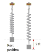 2 ft
Rest
position
