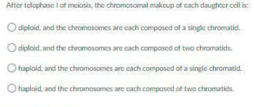 After telophase I of meiosis, the chromosomal makeup of cach daughter cell is:
) diploid, and the chromosomes are cach composed of a single chromatid.
diplaid, and the chromosomes are cach compased of two chromatids.
O haploid, and the chromosomes are cach composed of a single chromatid.
haploid, and the chromosomes are cach composed of two chromatids.
