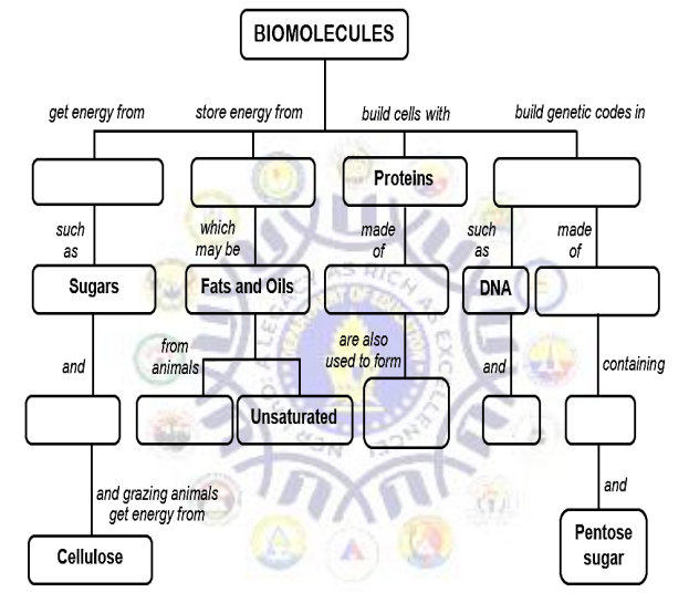 BIOMOLECULES
get energy from
store energy from
build cells with
build genetic codes in
Proteins
such
which
made
such
made
of
may be
of
as
as
Sugars
Fats and Oils
AT OF F
DNA
from
are also
and
animals
used to form
containing
and
Unsaturated
and
and grazing animals
get energy from
Pentose
Cellulose
sugar
EXC
