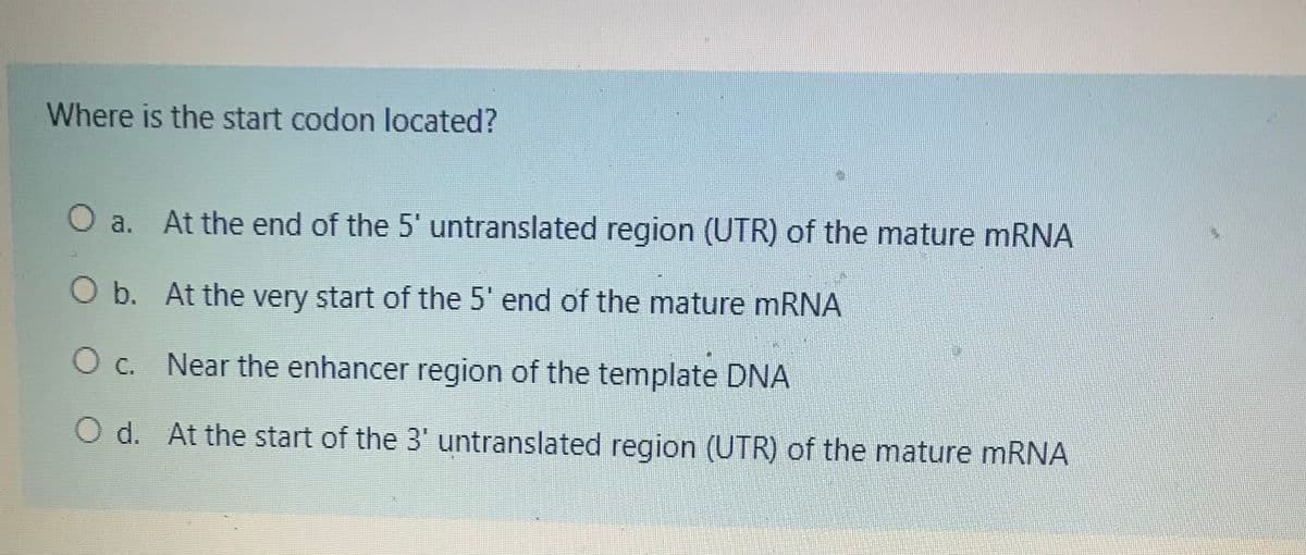 Where is the start codon located?
O a. At the end of the 5' untranslated region (UTR) of the mature mRNA
O b. At the very start of the 5' end of the mature mRNA
O c. Near the enhancer region of the template DNA
O d. At the start of the 3' untranslated region (UTR) of the mature mRNA
