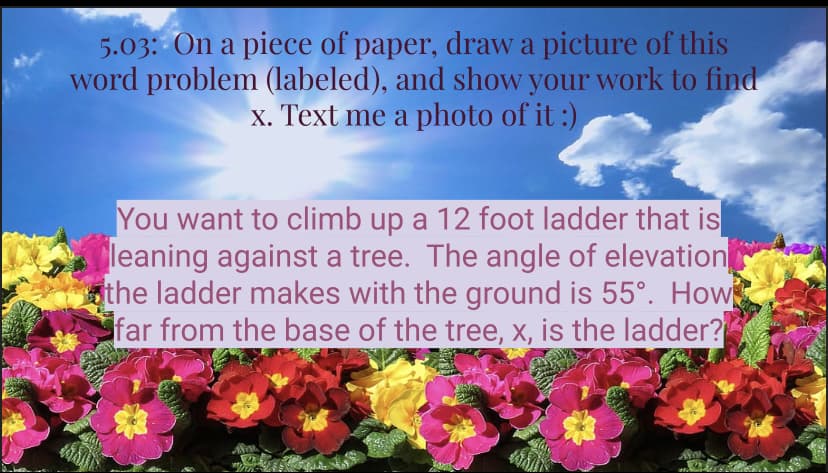 5.03: On a piece of paper, draw a picture of this
word problem (labeled), and show your work to find
x. Text me a photo of it :)
You want to climb up a 12 foot ladder that is
leaning against a tree. The angle of elevation
the ladder makes with the ground is 55°. How
far from the base of the tree, x, is the ladder?