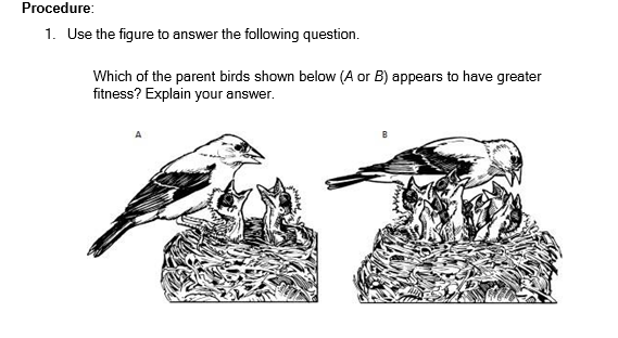 Procedure:
1. Use the figure to answer the following question.
Which of the parent birds shown below (A or B) appears to have greater
fitness? Explain your answer.
