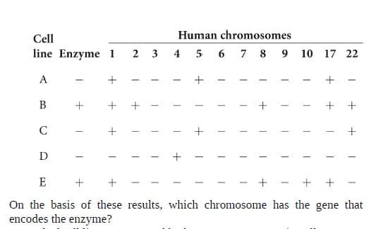Cell
Human chromosomes
line Enzyme 1
2 3 4 5 6 7 8 9 10 17 22
B
+ + +
D
E
On the basis of these results, which chromosome has the gene that
encodes the enzyme?
