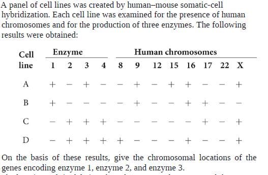 A panel of cell lines was created by human-mouse somatic-cell
hybridization. Each cell line was examined for the presence of human
chromosomes and for the production of three enzymes. The following
results were obtained:
Human chromosomes
Enzyme
1 2 3
Cell
line
4 8 9
12 15 16 17 22 X
A
D - + + + +
On the basis of these results, give the chromosomal locations of the
genes encoding enzyme 1, enzyme 2, and enzyme 3.
