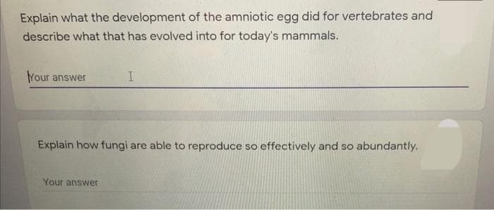 Explain what the development of the amniotic egg did for vertebrates and
describe what that has evolved into for today's mammals.
Your answer
Explain how fungi are able to reproduce so effectively and so abundantly.
Your answer
