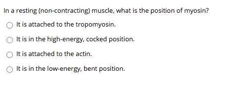 In a resting (non-contracting) muscle, what is the position of myosin?
It is attached to the tropomyosin.
It is in the high-energy, cocked position.
It is attached to the actin.
It is in the low-energy, bent position.
