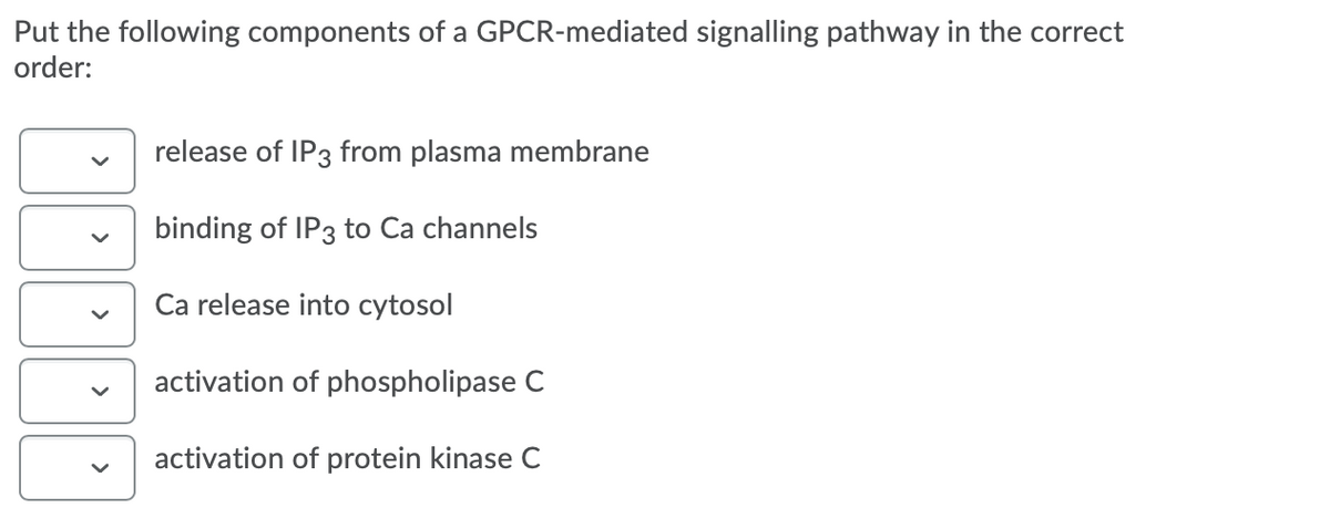 Put the following components of a GPCR-mediated signalling pathway in the correct
order:
release of IP3 from plasma membrane
binding of IP3 to Ca channels
Ca release into cytosol
activation of phospholipase C
activation of protein kinase C
>
>
