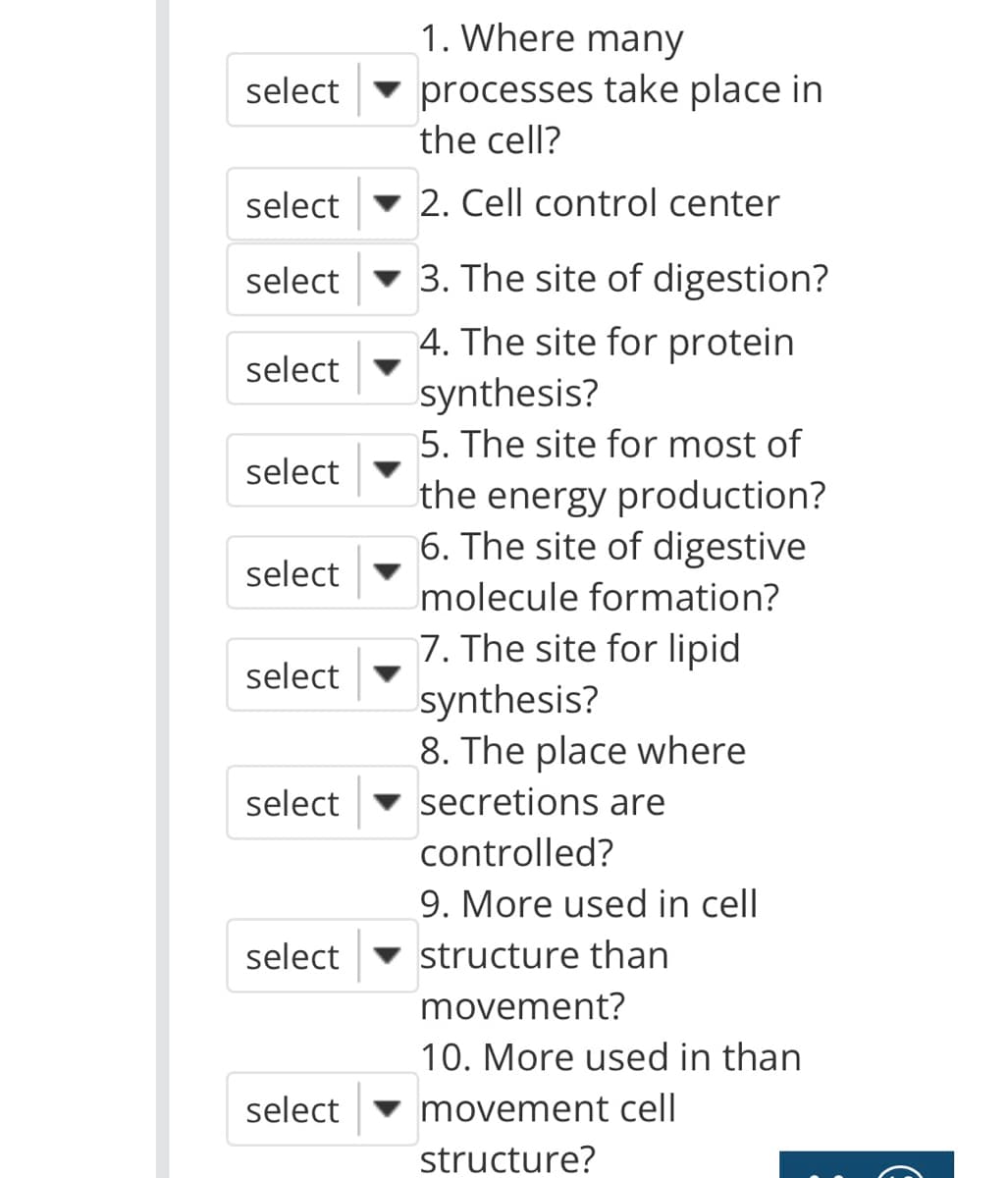select
select
select
select
select
select
select
select
select
select
1. Where many
processes take place in
the cell?
2. Cell control center
3. The site of digestion?
4. The site for protein
synthesis?
5. The site for most of
the energy production?
6. The site of digestive
molecule formation?
7. The site for lipid
synthesis?
8. The place where
secretions are
controlled?
9. More used in cell
structure than
movement?
10. More used in than
movement cell
structure?