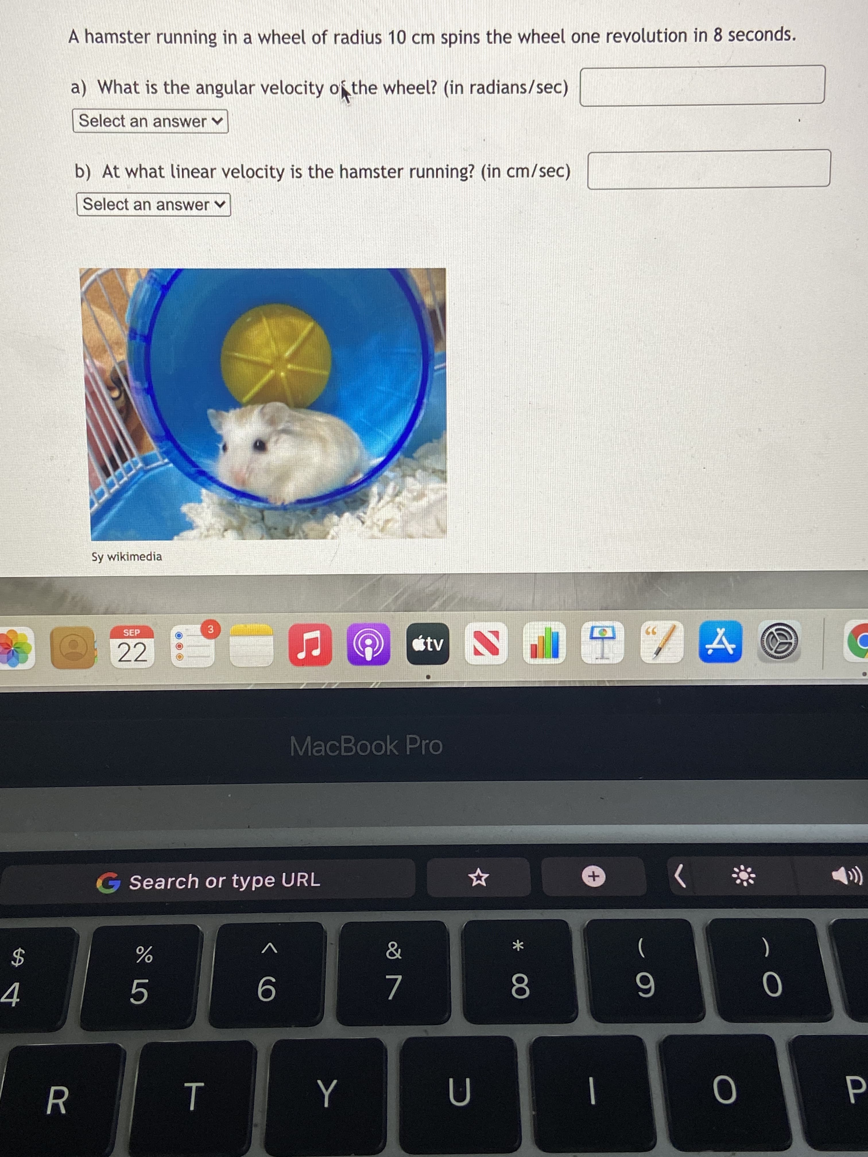 A hamster running in a wheel of radius 10 cm spins the wheel one revolution in 8 seconds.
a) What is the angular velocity ofthe wheel? (in radians/sec)
Select an answer v
b) At what linear velocity is the hamster running? (in cm/sec)
Select an answer v
