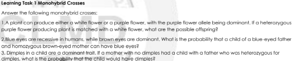 Learning Task 1 Monohybrid Crosses
Answer the following monohybrid crosses:
1.A plant can produce either a white flower or a purple flower, with the purple flower allele being dominant, If a heterozygous
purple flower producing plant is matched with a white flower, what are the possible offspring?
2.Blue eyes are recessive in humans, while brown eyes are dominant. What is the probability that a child of a blue-eyed father
and homozygous brown-eyed mother can have blue eyes?
3. Dimples in a child are a dominant trait. If a mother with no dimples had a child with a father who was heterozygous for
dimples, what is the probability that the child would have dimples?
