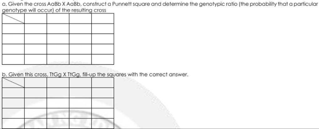 a. Given the cross AaBb X AaBb, construct a Punnett square and determine the genotypic ratio (the probability that a particular
genotype will occur) of the resulting cross
b. Given this cross, TtGg X TIGG, fill-up the squares with the correct answer.
