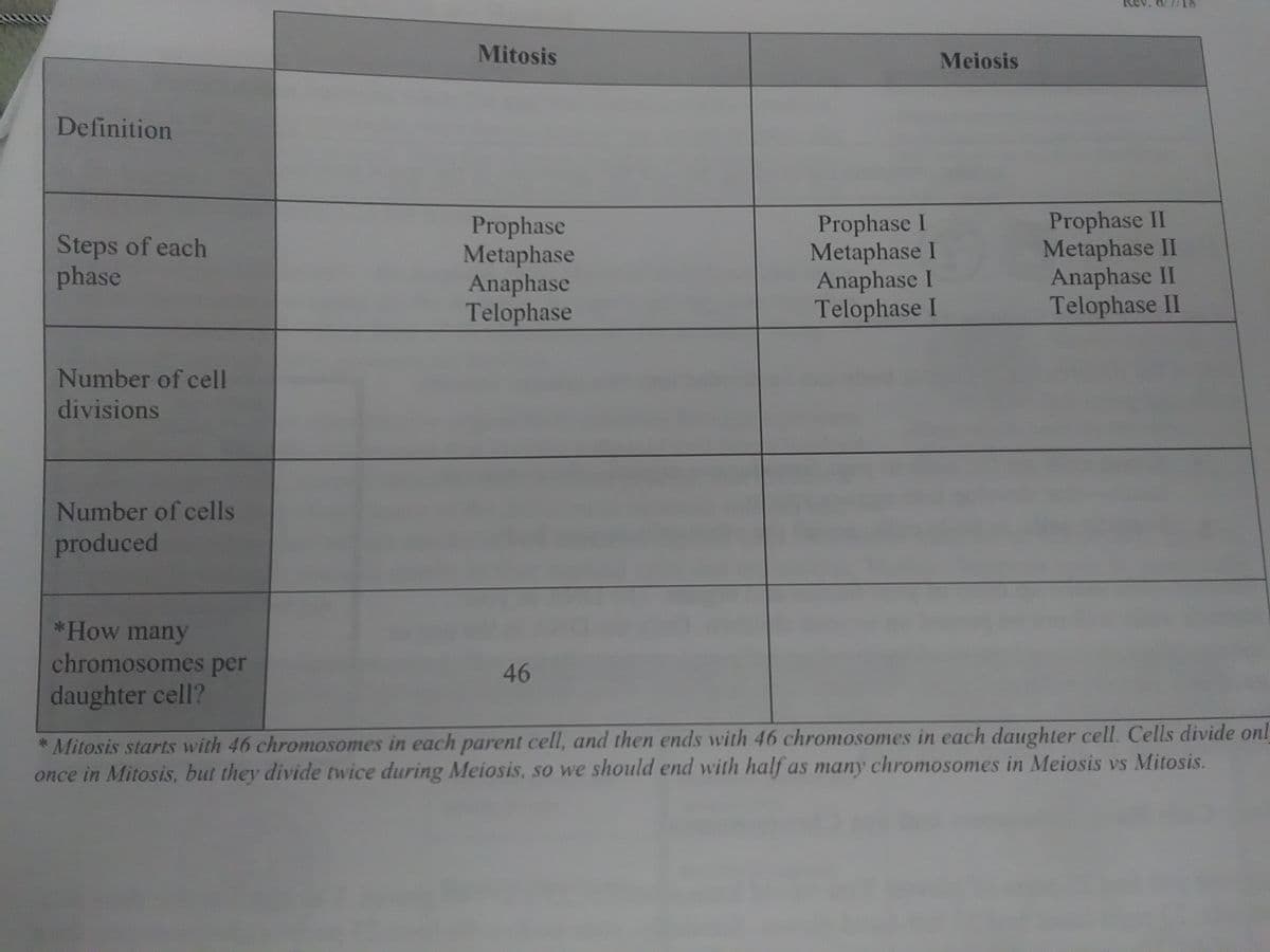 Mitosis
Meiosis
Definition
Prophase
Metaphase
Anaphase
Telophase
Prophase I
Metaphase I
Anaphase I
Telophase I
Prophase II
Metaphase II
Anaphase II
Telophase II
Steps of each
phase
Number of cell
divisions
Number of cells
produced
*How many
chromosomes per
46
daughter cell?
* Mitosis starts with 46 chromosomes in each parent cell, and then ends with 46 chromosomes in each daughter cell. Cells divide onl
once in Mitosis, but they divide twice during Meiosis, so we should end with half as many chromosomes in Meiosis vs Mitosis.
