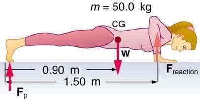 m = 50.0 kg
CG
Freaction
0.90 m
1.50 m
F,
