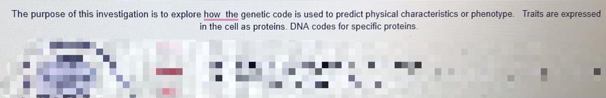 The purpose of this investigation is to explore how the genetic code is used to predict physical characteristics or phenotype. Traits are expressed
in the cell as proteins. DNA codes for specific proteins.

