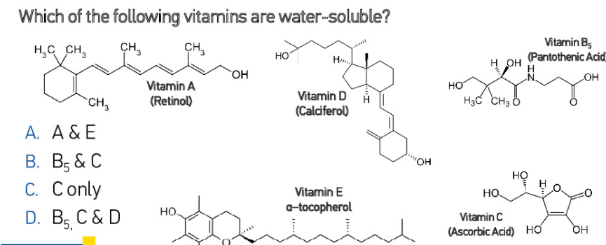 Which of the following vitamins are water-soluble?
Vitamin Bs
H,C CH,
CH,
CH,
но
(Pantothenic Acid
н он
H
он
Vitamin A
но
`CH,
(Retinol)
Vitamin D
H3C CH3 Ö
(Calciferol)
A. A & E
В. В, & С
С. Conly
O.,
Vitamin E
но.
но.
a-tocopherol
D. B, C & D
Vitamin C
(Ascorbic Acid) HƠ
OH
