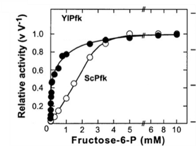 YIPFK
1.0
0.8
0.6
ScPfk
0.4
0.2
%23
6 8 10
Fructose-6-P (mM)
1 2 3 4 5
Relative activity (v V-1)
