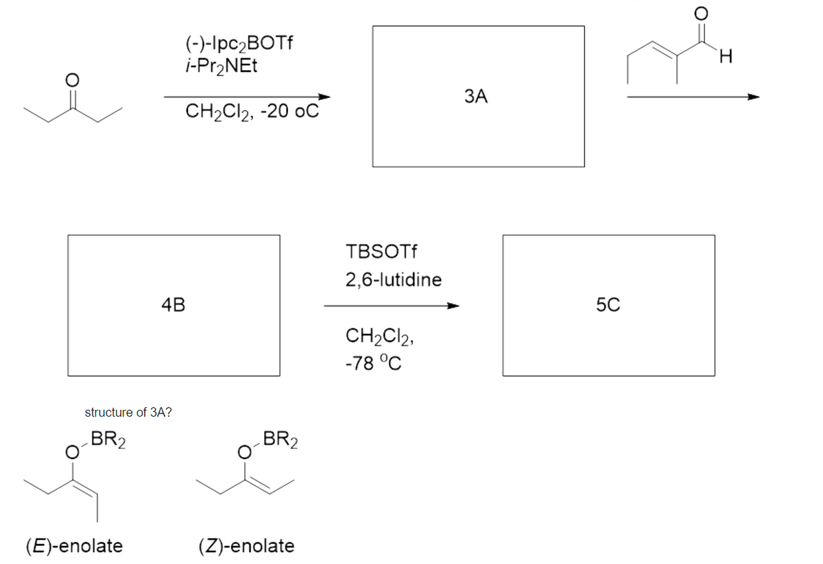 (-)-Ipc2BOTf
i-Pr2NEt
H.
ЗА
CH2CI2, -20 oC
TBSOTF
2,6-lutidine
4B
50
CH2CI2,
-78 °C
structure of 3A?
BR2
BR2
(E)-enolate
(Z)-enolate
