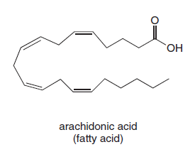 `OH
ОН
arachidonic acid
(fatty acid)
