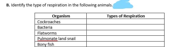 B. Identify the type of respiration in the following animals.
Organism
Cockroaches
Bacteria
Flatworms
Pulmonate land snail
Bony fish
Types of Respiration