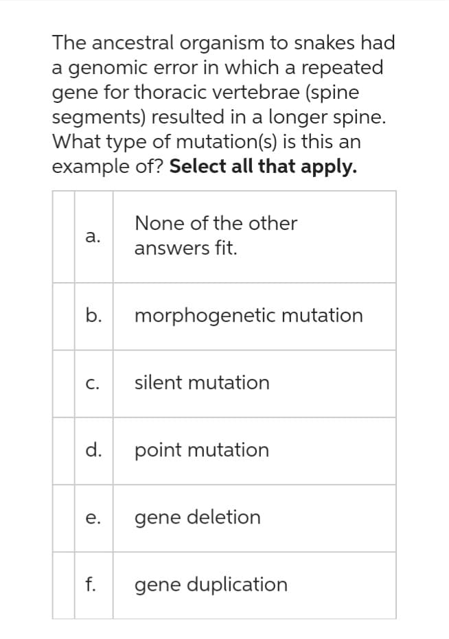 The ancestral organism to snakes had
a genomic error in which a repeated
gene for thoracic vertebrae (spine
segments) resulted in a longer spine.
What type of mutation(s) is this an
example of? Select all that apply.
a.
b.
C.
d.
e.
f.
None of the other
answers fit.
morphogenetic mutation
silent mutation
point mutation
gene deletion
gene duplication